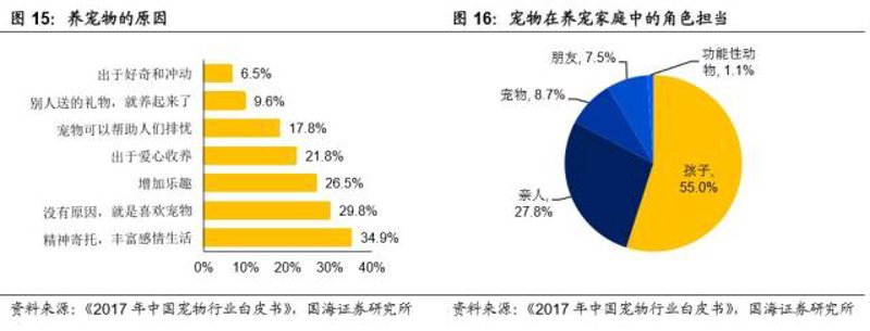 宠物智能设备：未来的宠物生活助手