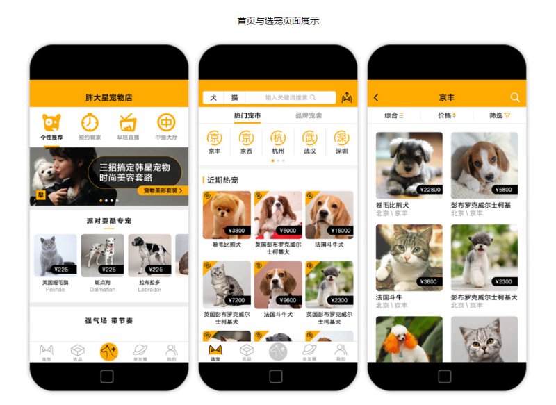 智能宠物喂食器：未来的饲养助手